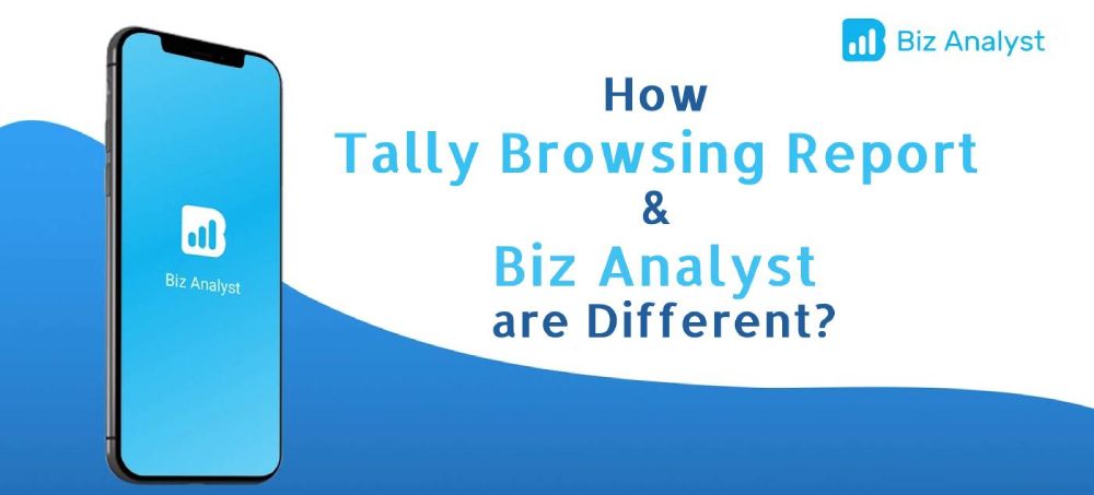 tally browsing report feature vs biz analyst