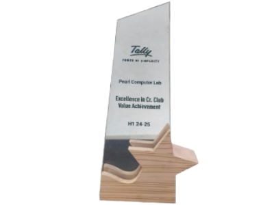 tally sales award new